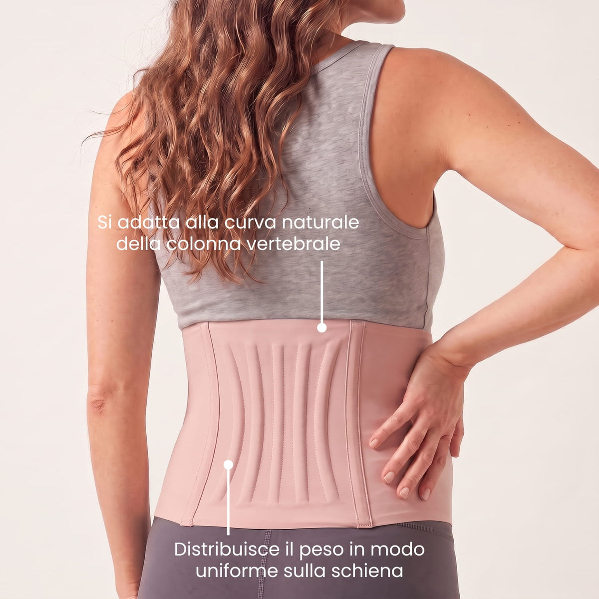 Fascia Addominale